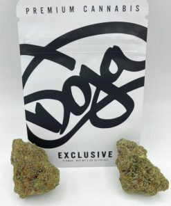 Doja Exclusive | Gushers