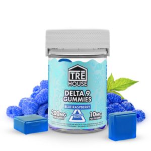 Blue Raspberry Delta 9 Gummies